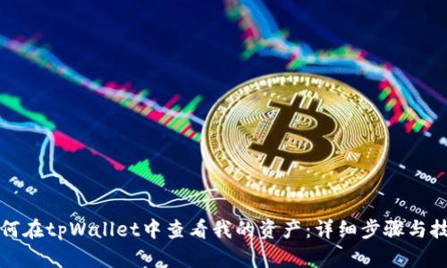 如何在tpWallet中查看我的资产：详细步骤与技巧