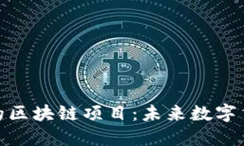 超越Pi币的区块链项目：未来数字货币的新星