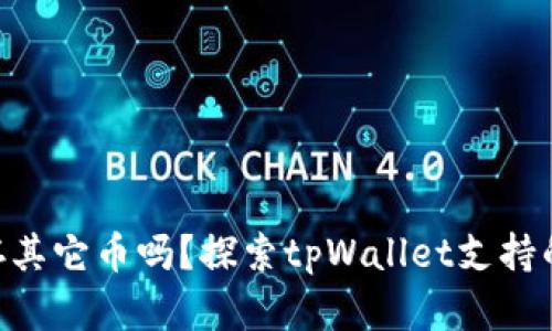  tpWallet能存其它币吗？探索tpWallet支持的多种数字货币