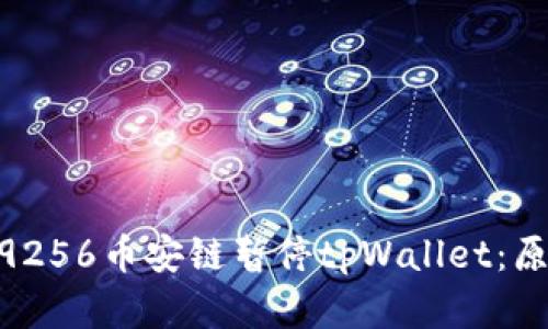 29256biao­ti/29256币安链暂停tpWallet：原因解析与后续影响
