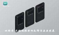 比特币：区块链技术的先锋与未来发展