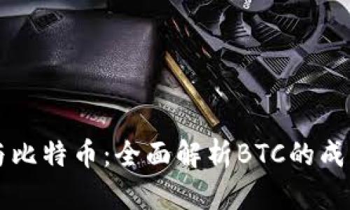 区块链与比特币：全面解析BTC的成长与未来