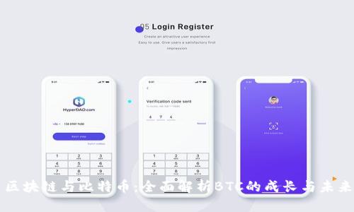 区块链与比特币：全面解析BTC的成长与未来