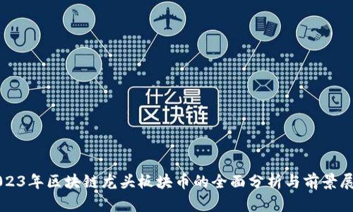 2023年区块链龙头板块币的全面分析与前景展望
