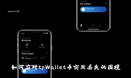 如何应对tpWallet币突然丢失的困境