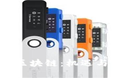 2018年瑞拉币区块链：机遇与挑战的深入探讨