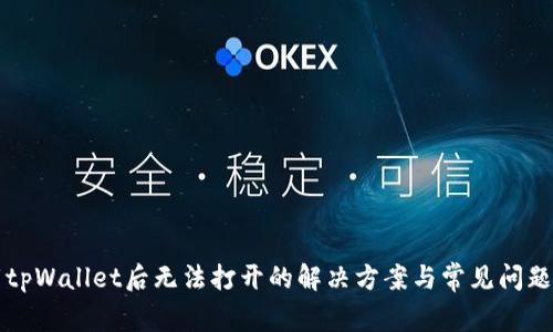 下载tpWallet后无法打开的解决方案与常见问题分析