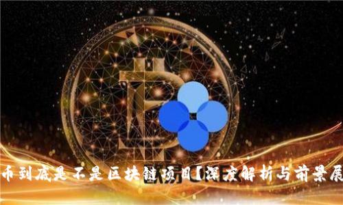 Pi币到底是不是区块链项目？深度解析与前景展望