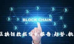 2023年最新区块链数据分析报告：趋势、挑战与未