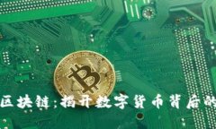 比特币和区块链：揭开数字货币背后的神秘面纱