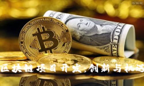 厦门最新区块链项目开发：创新与机遇的交汇点