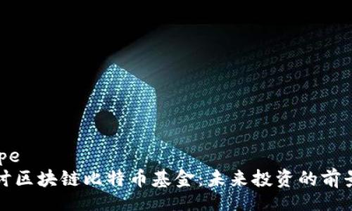 datatype
深入探讨区块链比特币基金：未来投资的前景与挑战