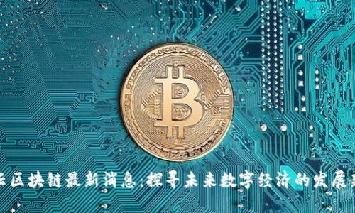 王楚云区块链最新消息：探寻未来数字经济的发展新机遇