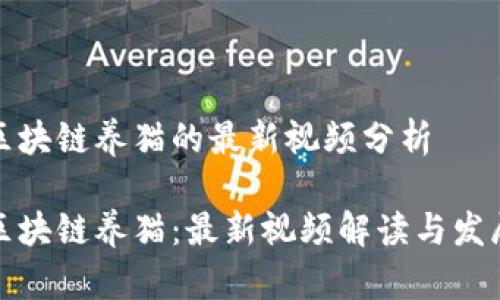 关于区块链养猫的最新视频分析

揭秘区块链养猫：最新视频解读与发展趋势