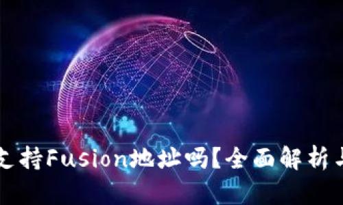 tpWallet支持Fusion地址吗？全面解析与用户指南