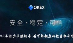 2023年潜力区块链币：有可能翻盘的投资机会分析