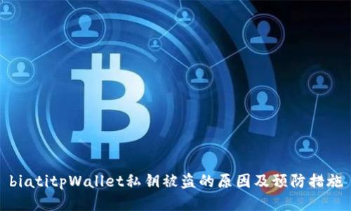 biatitpWallet私钥被盗的原因及预防措施