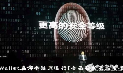   
tpWallet在哪个链上运行？全面解析及应用案例