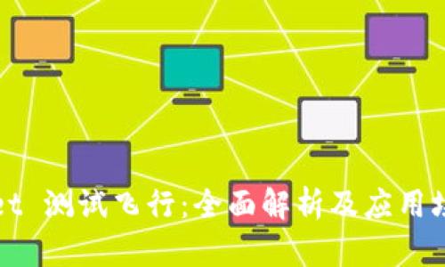 TPWallet 测试飞行：全面解析及应用场景探讨