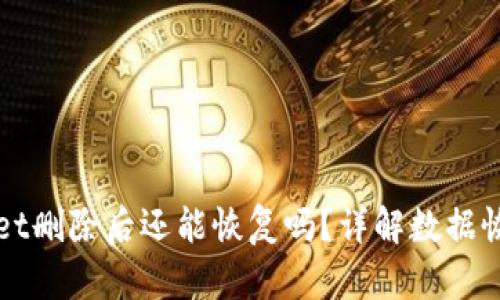 tpWallet删除后还能恢复吗？详解数据恢复方法