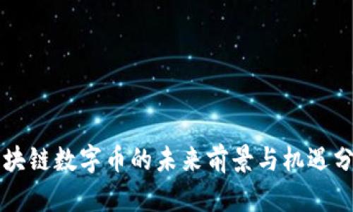 区块链数字币的未来前景与机遇分析