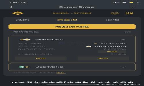 TP硬钱包安全吗？全面解析及使用指南