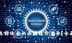 如何选择适合的区块链价值币？全面指南