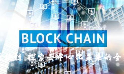 中币络谱区块链：探索去中心化未来的全新生态系统