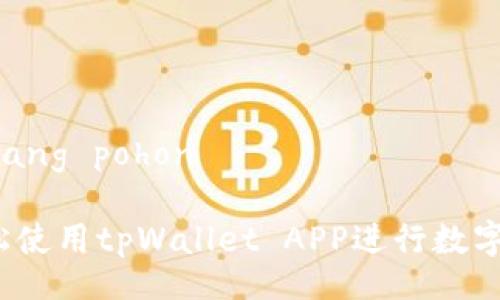  magandang pohon 

 如何轻松使用tpWallet APP进行数字资产管理