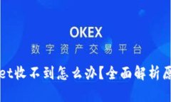 提现到tpWallet收不到怎么办？全面解析原因与解决