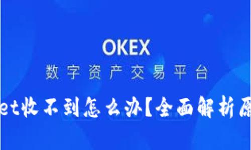 提现到tpWallet收不到怎么办？全面解析原因与解决方案