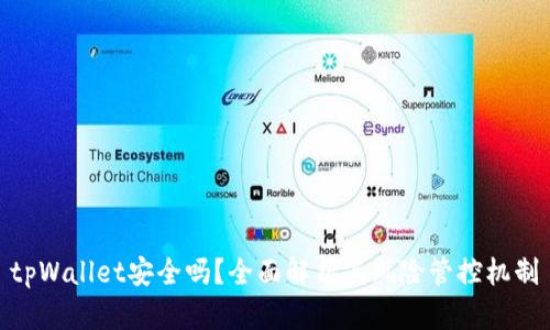 tpWallet安全吗？全面解析其风险管控机制