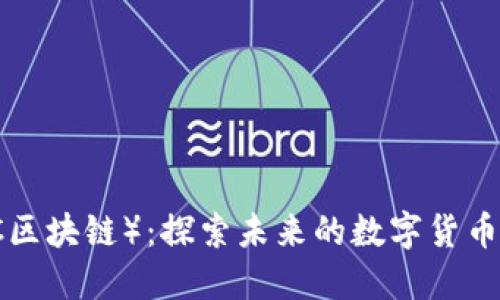 理查币（LCC区块链）：探索未来的数字货币和投资机会
