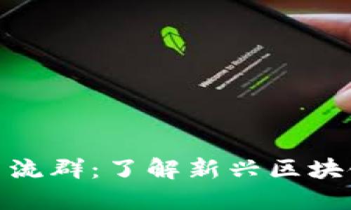 最新区块链项目交流群：了解新兴区块链技术与投资机会