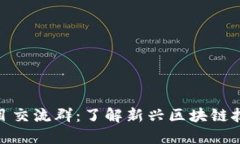 最新区块链项目交流群：了解新兴区块链技术与