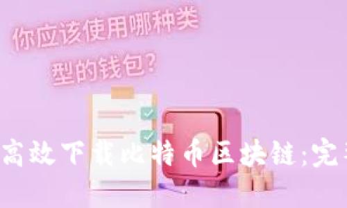  如何高效下载比特币区块链：完整指南