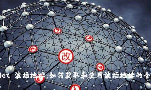 tpWallet 波场地址：如何获取和使用波场地址的全面指南
