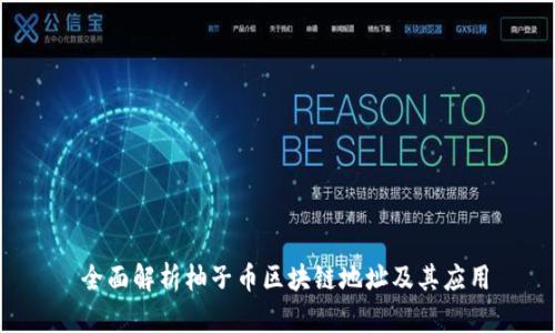  全面解析柚子币区块链地址及其应用