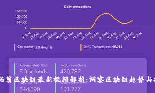 币码翁区块链最新视频解析：洞察区块链趋势与技术