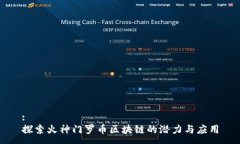 :探索火神门罗币区块链的潜力与应用