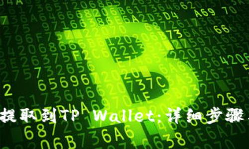 如何将Kishu币提取到TP Wallet：详细步骤与常见问题解答
