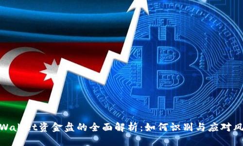 tpWallet资金盘的全面解析：如何识别与应对风险
