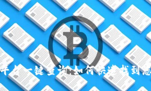 最新区块链平台一键查询：如何快速找到您需要的信息