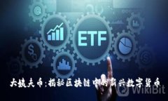 大姨夫币：揭秘区块链中的新兴数字货币