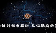 ziaoti区块链传销币揭秘：见证骗局的真相与警示