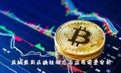 盐城最新区块链动态与应用前景分析