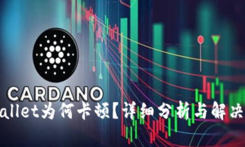 tpWallet为何卡顿？详细分析与解决方案