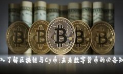 深入了解区块链与Cy币：未来数字货币的必备知识