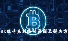 tpWallet提币未到账的原因及解决方案详解