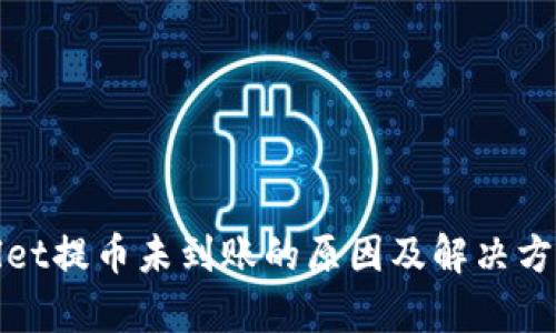 tpWallet提币未到账的原因及解决方案详解